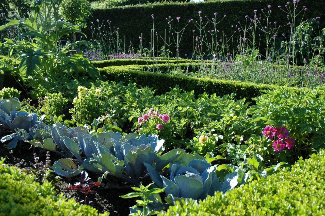 Le Chat Courant Villandry Kültér fotó